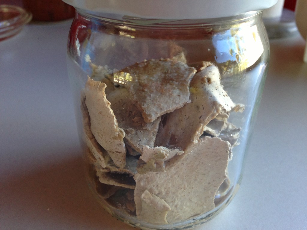 Frozen pieces of starter