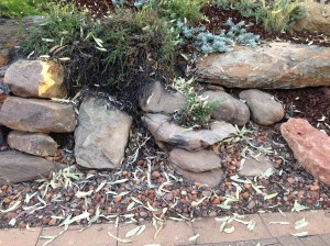 Before the 'treatment'