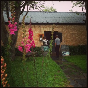 Padthaway Estate Cellar Door