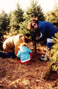 Myself, husband and 3yr old daughter cutting a tree for Mum