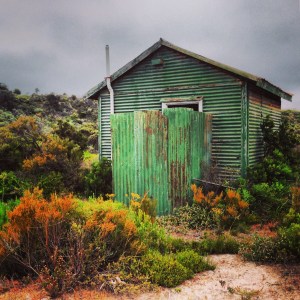 the 'gents' at Whaler's Way