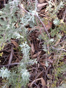 Let's play, spot the glasses.