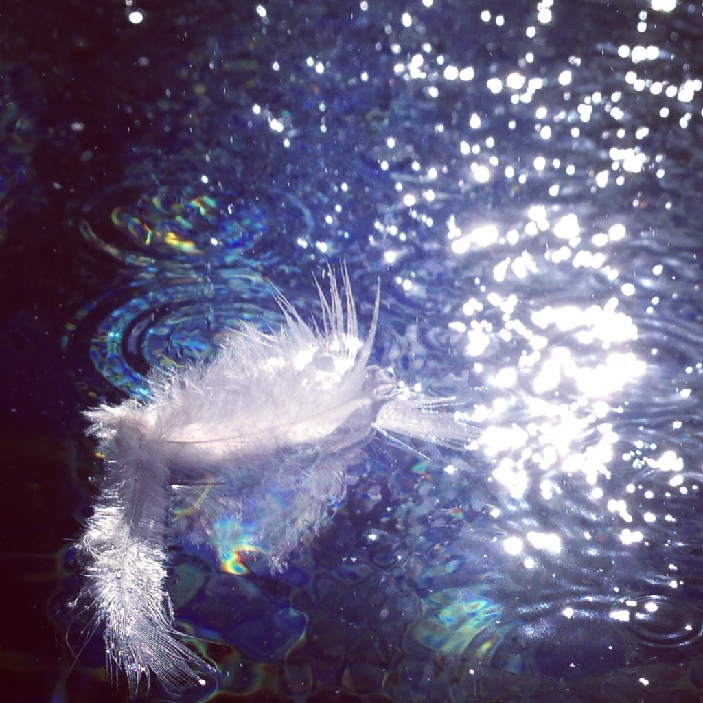 ideas bubbling to the surface