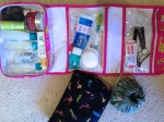 Toiletries, makeup and earring bag.