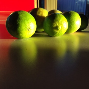 limes in late afternoon sun
