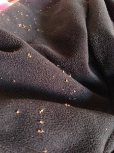 The ouch-y seat of my pants!