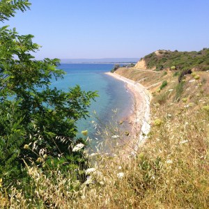 Gallipoli-first-landing