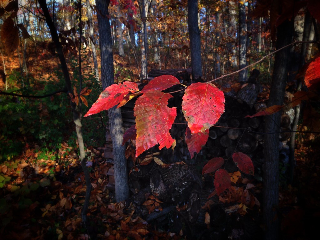 Where travel takes us…Pt 2