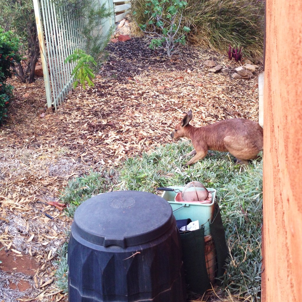 Getting ready to rest.