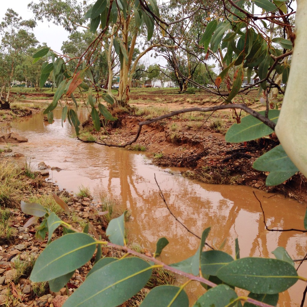 Todd beginning to flow passed Tuncks Road crossing. 8am Thursday