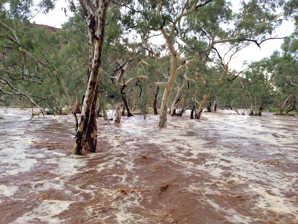 taffy-pick-toward-gap