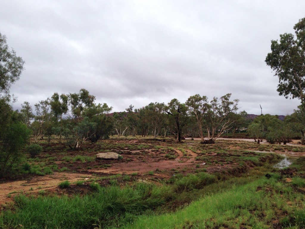todd-river-after-flow