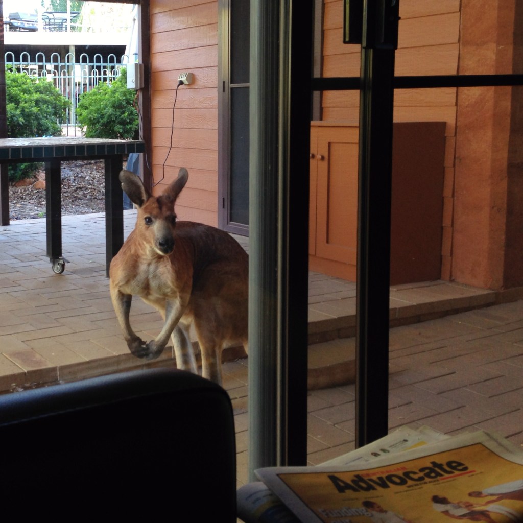 (41) local wants to borrow the Advocate newspaper