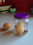 approximate ratio of egg to jar to water