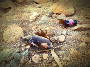 glass-broken-riverbed