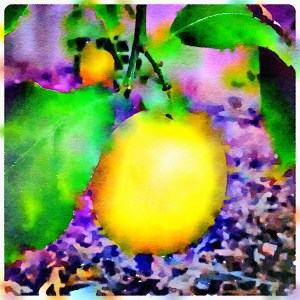 waterlogue-lemon