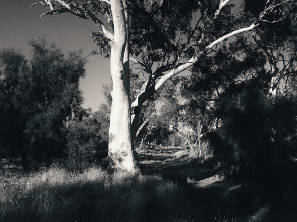 dry-toddriver-monochrome