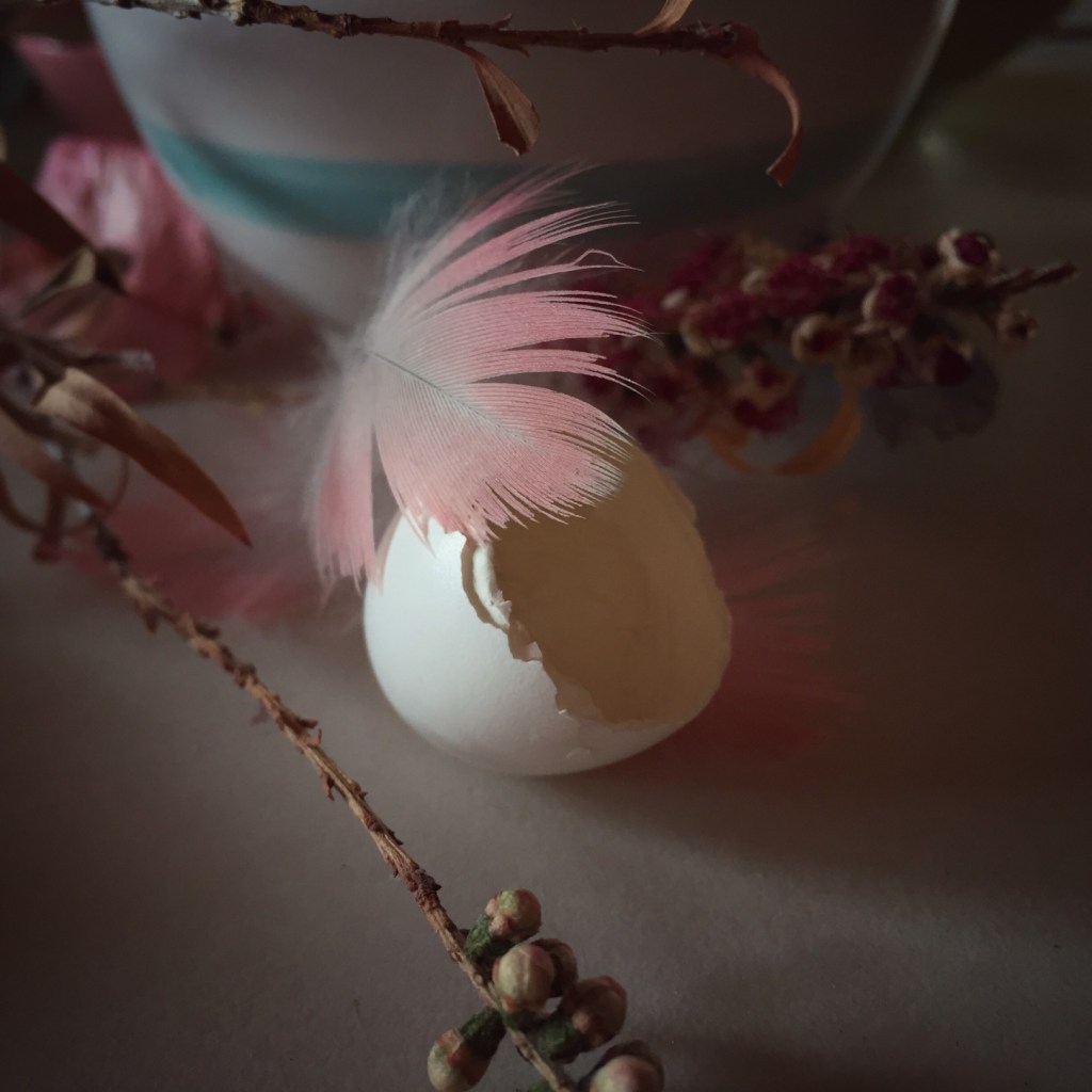 Found objects still life