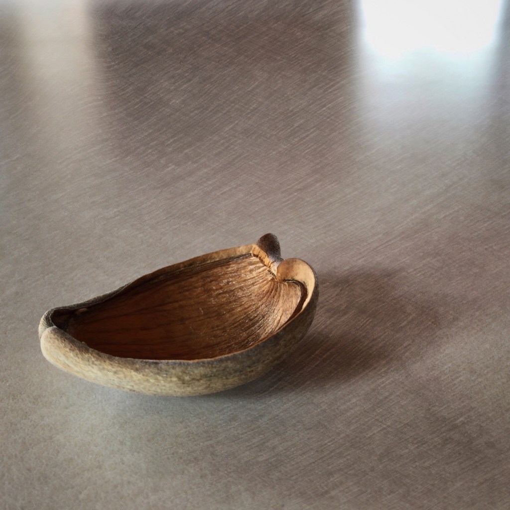 Simple image, five apps!