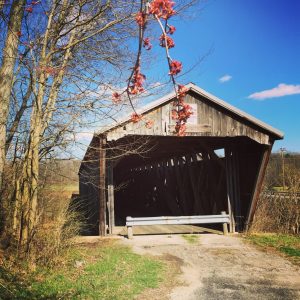 new-hope-covered-bridge