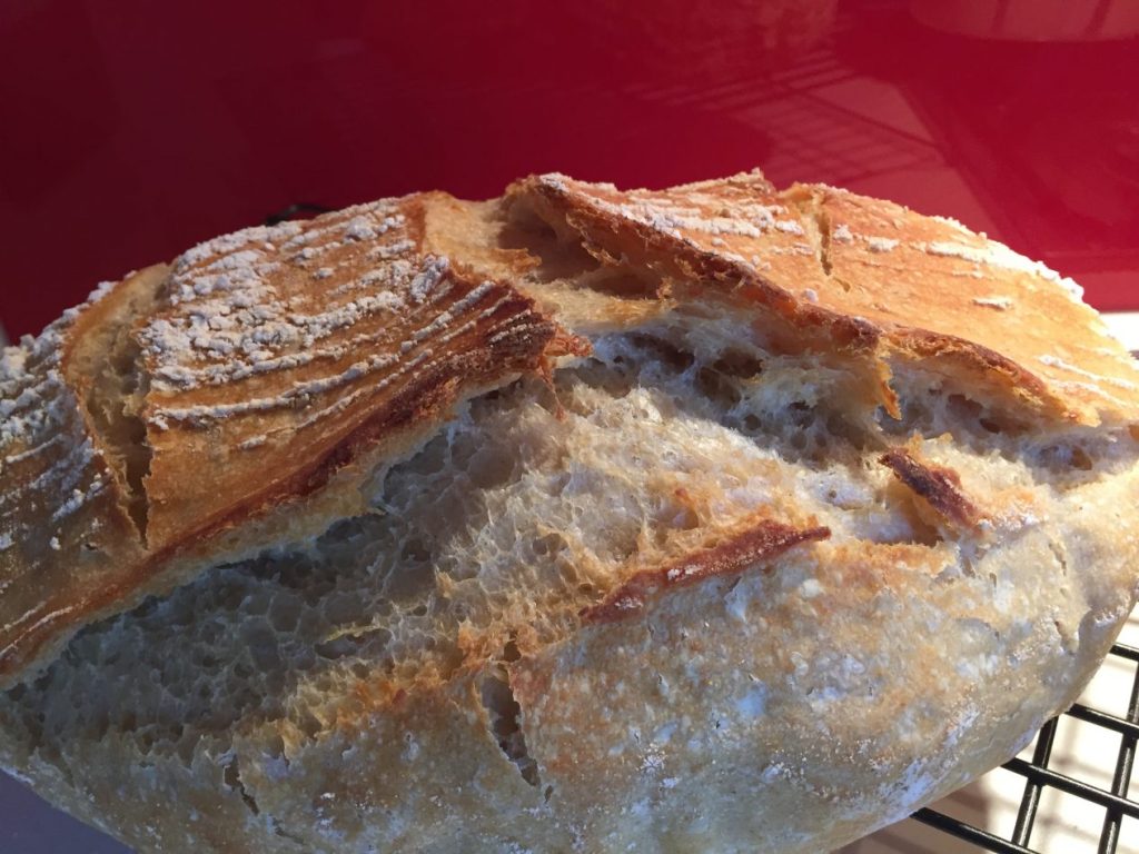 gorgeous oven spring of loaf SIX!