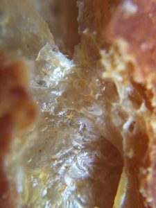 close up of the gorgeousness