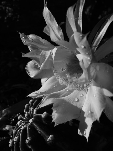 Processed with VSCO with b3 preset