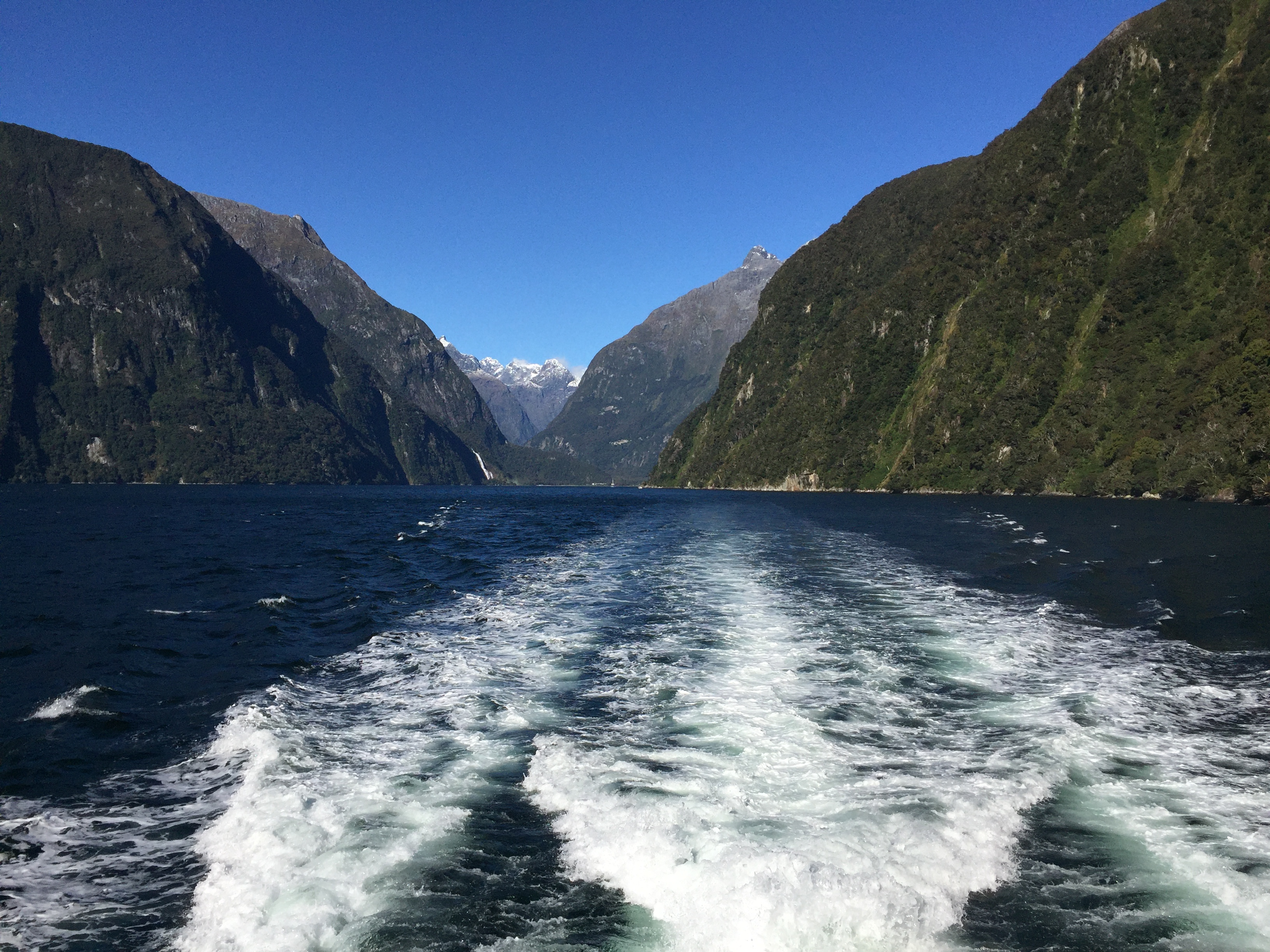 609F9CFB-C310-49FF-88A3-18D8CA1CCE7D